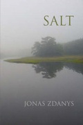 Cover: Salt - VIRTUAL ARTISTS COLLECTIVE