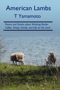 Cover: American Lambs - Outrun Press