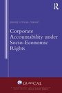 Cover: Corporate Accountability under Socio-Economic Rights - Routledge