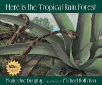 Enlarge image Cover: Here Is the Tropical Rain Forest - Web of Life Children's Books