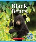 Cover: Black Bears (Nature's Children) - C. Press/F. Watts Trade