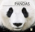 Cover: Pandas - Kiko Verlag
