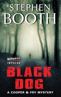 Enlarge image Cover: Black Dog - HarperCollins