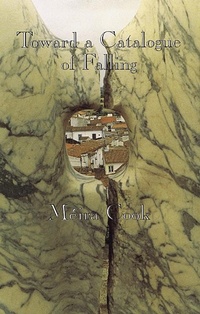 Enlarge image Cover: Toward a Catalogue of Falling - Brick Books