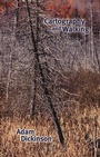 Cover: Cartography and Walking - Brick Books