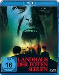 Cover: Landhaus der toten Seelen - NSM Records