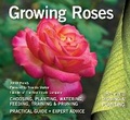Cover: Growing Roses - Flame Tree Publishing