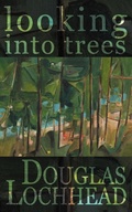 Cover: Looking into Trees - Sybertooth Inc