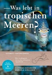 Abbildung von: Was lebt in tropischen Meeren? - Kosmos