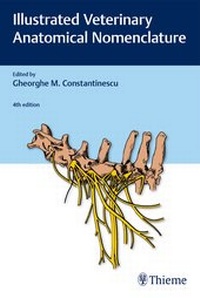 Abbildung von: Illustrated Veterinary Anatomical Nomenclature - Thieme
