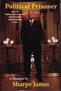 Enlarge image Cover: Political Prisoner - Nutany Publishing