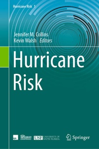 Enlarge image Cover: Hurricane Risk - Springer