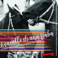 Cover: A cavallo di una fiaba. 17 cavalli per 17 contrade raccontano il palio di Siena - Extempora