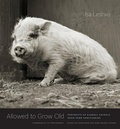 Cover: Allowed to Grow Old - University of Chicago Press