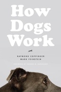 Cover: How Dogs Work - University of Chicago Press