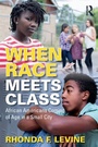 Cover: When Race Meets Class - Routledge