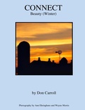 Cover: Connect - Little Peak Creek Publishing Company