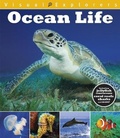 Cover: Visual Explorers: Ocean Life - Franklin Watts Ltd