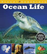 Enlarge image Cover: Visual Explorers: Ocean Life - Franklin Watts Ltd