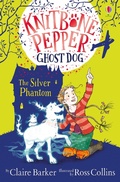 Cover: The Silver Phantom - Usborne Publishing Ltd