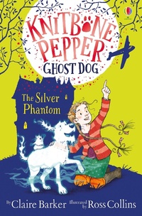 Enlarge image Cover: The Silver Phantom - Usborne Publishing Ltd