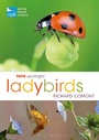 Cover: RSPB Spotlight Ladybirds - Bloomsbury Wildlife