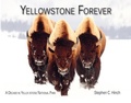Cover: Yellowstone Forever - Sweetgrass Books