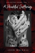 Cover: A Beautiful Suffering - Blanket Fort Books