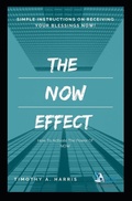 Cover: The Now Effect - Independently Published