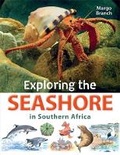 Cover: Exploring the Seashore in Southern Africa - Struik Nature