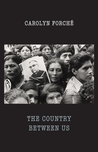 Abbildung von: The Country Between Us - Bloodaxe Books Ltd