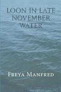 Cover: Loon In Late November Water - Red Dragonfly Press