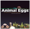 Cover: Animal Eggs - EarlyLight Books,  Incorporated