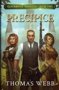 Cover: Precipice - Cobble Publishing LLC
