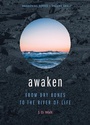 Cover: Awaken - Seedbed Inc