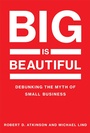 Cover: Big Is Beautiful - MIT Press