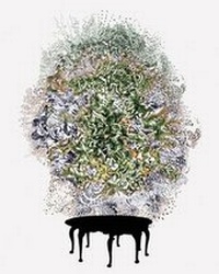 Enlarge image Cover: Pat O'Neill - The Ice Plant