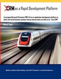 Cover: CRM as a Rapid Development Platform - We Speak You Learn, LLC
