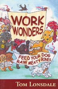 Enlarge image Cover: Work Wonders - Rivetco Pty Ltd