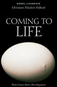 Enlarge image Cover: Coming to Life - Kales Press