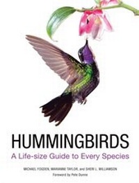 Bild: Hummingbirds - Harper Design