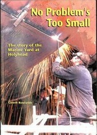 Enlarge image Cover: No Problem's Too Small - Gareth Rowlands
