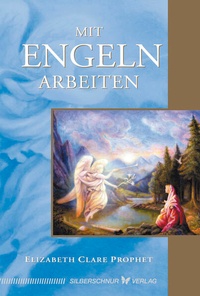 Enlarge image Cover: Mit Engeln arbeiten - Silberschnur