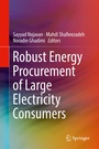 Cover: Robust Energy Procurement of Large Electricity Consumers - Springer