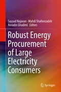Cover: Robust Energy Procurement of Large Electricity Consumers - Springer
