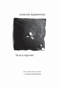 Enlarge image Cover: Black Square - Zephyr Press