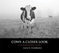 Abbildung von: Cows: A Closer Look - Borderland Books