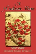 Cover: A Hudson View Poetry Digest - Water Forest Press