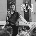 Cover: Shawn Mendes 2019 Wall Calendar - Brown Trout