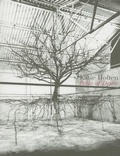 Cover: Katie Holten: Paths of Desire - Contemporary Art Museum St Louis